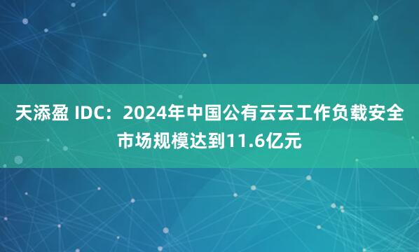 天添盈 IDC：2024年中国公有云云工作负载安全市场规模达到11.6亿元